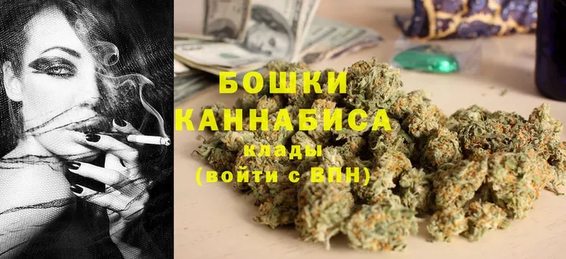 Шишки марихуана Bruce Banner  кракен как зайти  нарко площадка состав  Гдов 